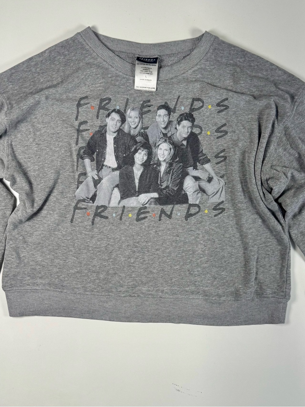 FRIENDS Gray Crewneck Sweatshirt with Cast Graphic